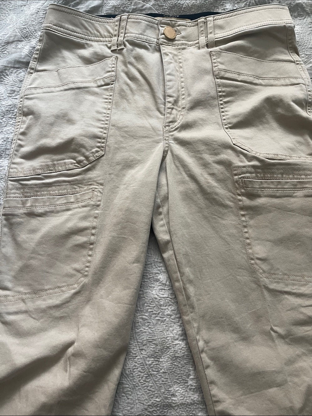 Democracy 2  Khaki Ab Technology Cargo Pants